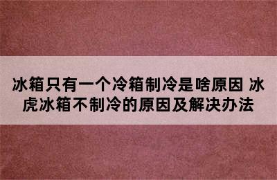 冰箱只有一个冷箱制冷是啥原因 冰虎冰箱不制冷的原因及解决办法